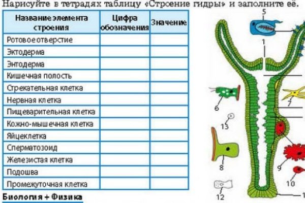 Актуальная ссылка на кракен