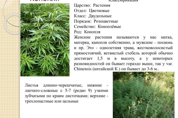 Ссылка на сайт кракен в тор браузере