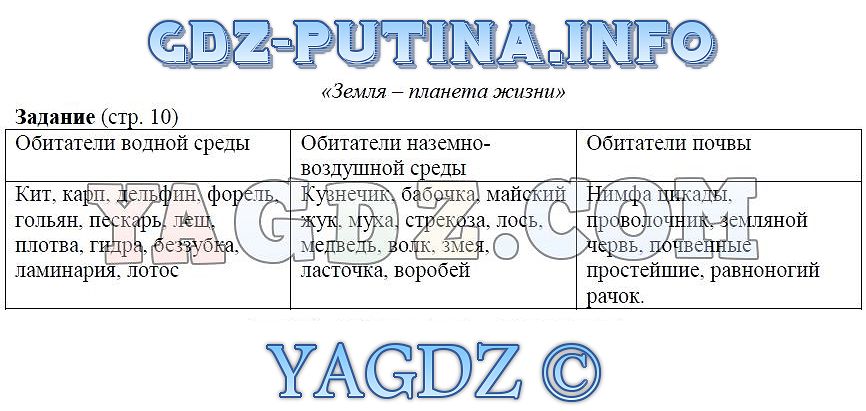 Кракен маркетплейс что там