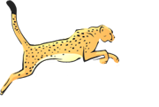 Gepard Group Company